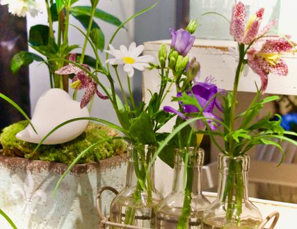Blütenreich Treml, Blumen Traunstein
